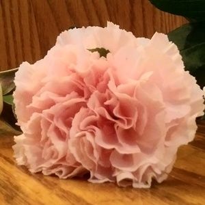 Meet your Posher, Atiya